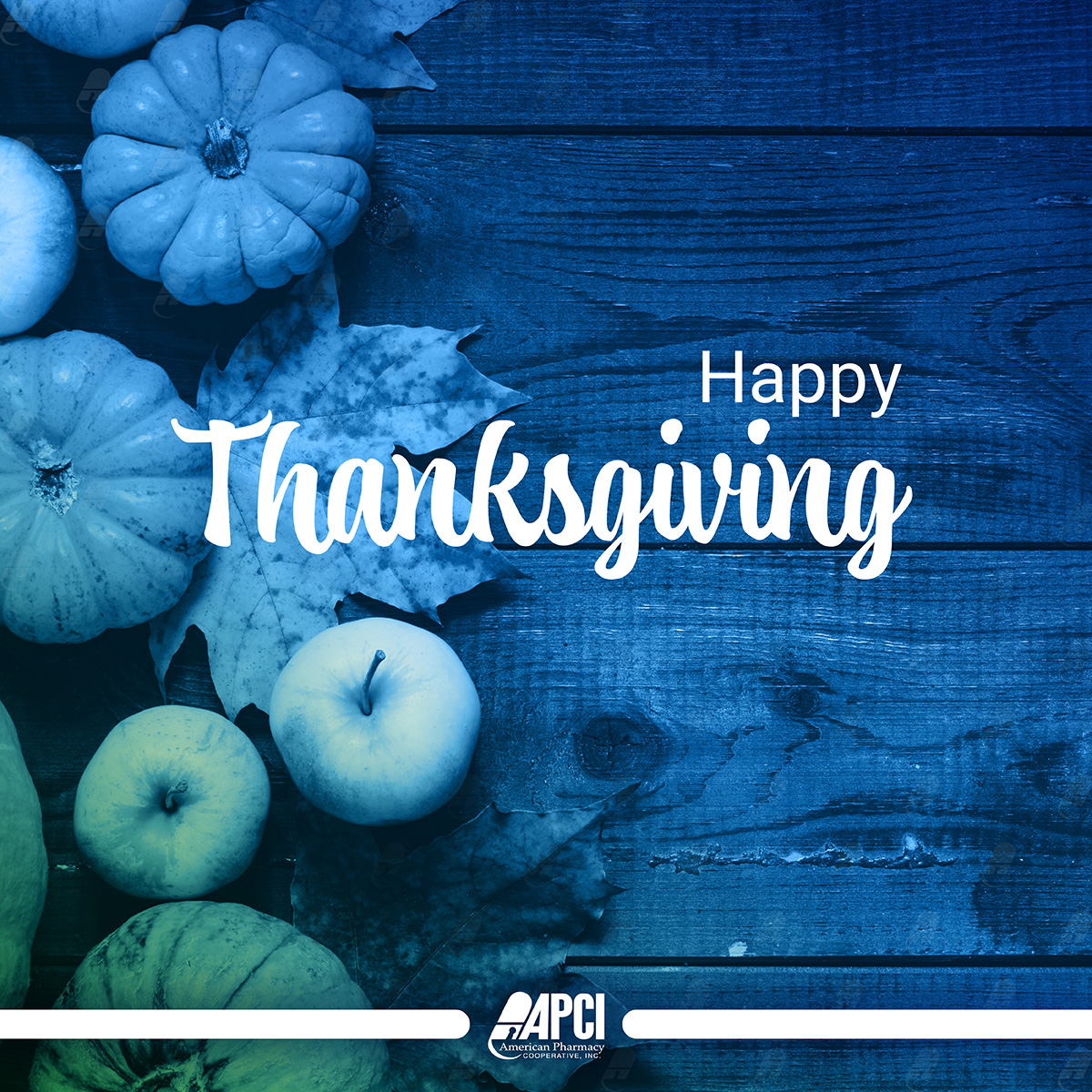 Happy Thanksgiving from APCI
