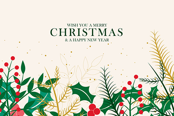 Merry Christmas and Happy New Year graphic