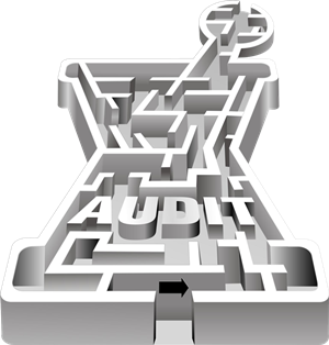 CAPS Audit maze image